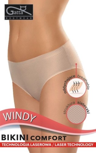 windy.jpg